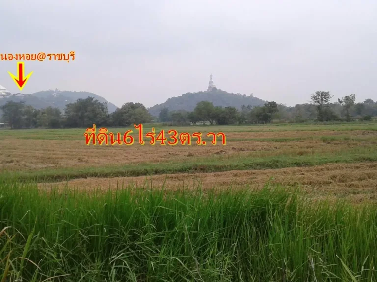 ขายที่ดิน6ไร่43ตรวา ในบ้านห้วยลูกนก บ้านเกาะพลับพลา ใกล้วัดหนองหอยราชบุรัีที่ดินเหมาะอยู่อาศัยหลังเกษียณไร่ละ350000บาท