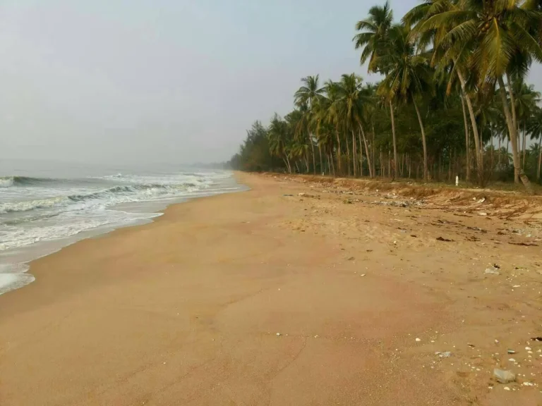 ขายที่ดินติดทะเล 20 ไร่ อบางสะพาน หาดส่วนตัวทะเลสวย หน้ากว้างติดทะเลประมาณ 150 เมตร