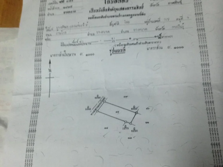 ขายที่ดิน110ตรวในชอยตรงข้ามธออมสินยางตลาด