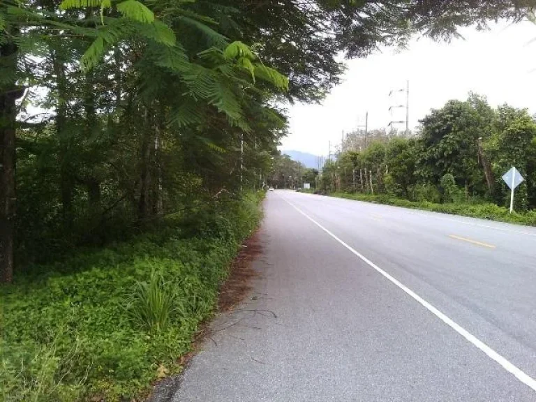 ที่ดินท้ายเหมือง พังงา 30ไร่ สวนปาล์ม หน้าติดถนนสายหลักเพชรเกษม หลังติดคลองน้ำขนาดใหญ่