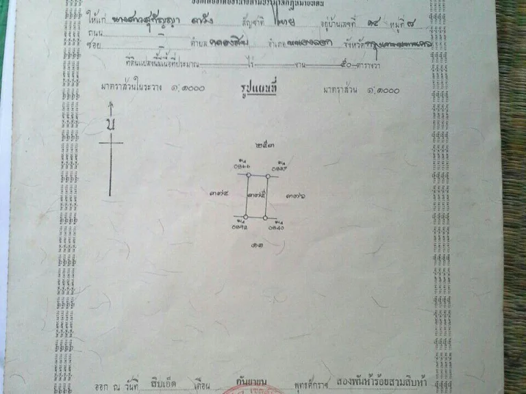 ขายที่ดิน 50 ตรว คลอง 10 เขตหนองจอก กรุงเทพฯ ราคาถูกสุดๆ