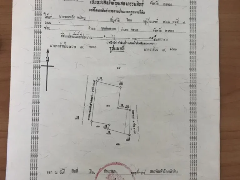 ขายที่ดินเปล่า ขุนตัดหวาย จำนวน 1 ไร่ 55 ตารางวา