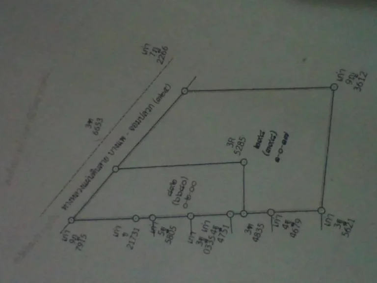 ขายที่ดินติดถนน สายบางแพ-สมุทรสงคราม