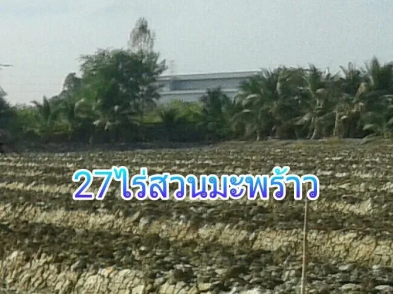 ที่ดินติดถนนพระประโทนบ้านแพ้ว27ไร่2งาน