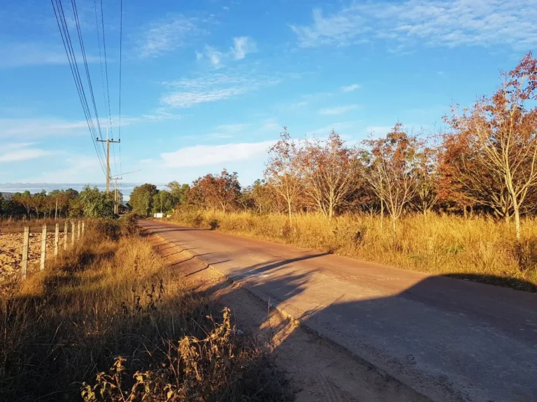 ขายที่ดินปรับปรุงแล้ว สำหรับทำบ้านสวน 3 in 1มีบ่อน้ำที่ดอนที่ต่ำ พร้อมอยู่จำนวนหลายแปลง บดงยอ ตพังขว้าง ต่อลองได้คนกันเอง