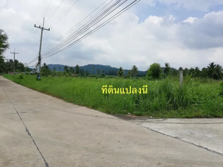 ขายที่ดินแปลงมุม ติดถนนคอนกรีตสองด้าน วิวภูเขา บ้านบึง ชลบุรี