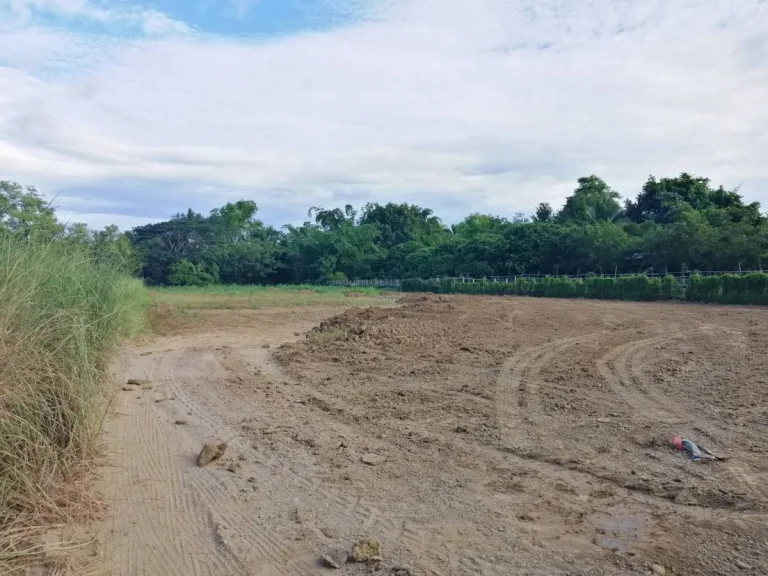 ขายที่ดินถมดินเรียบร้อยแม่คือ ห่างตลาด 15 km ดอยสะเก็ต เชียงใหม่