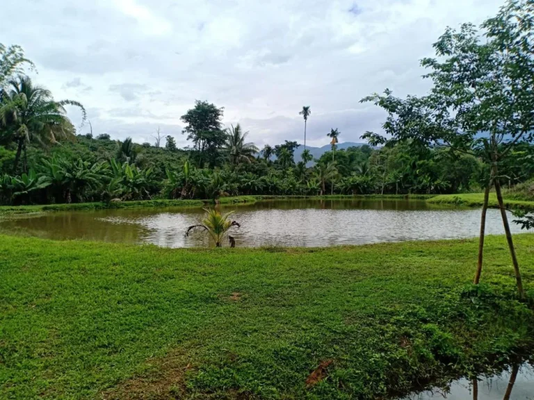 ขายรีสอทร์ เชียงดาว เชียงใหม่