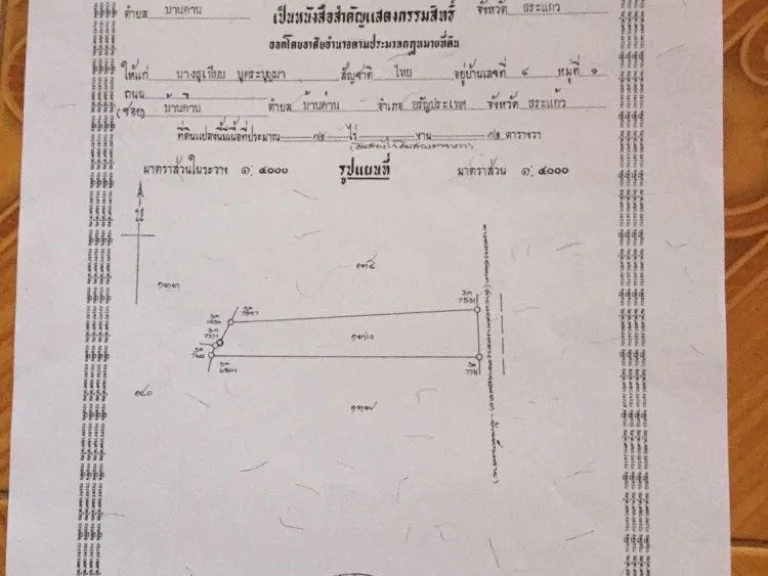 ขายที่ดินราคาถูก ติดถนนลาดยาง สาธารณูปโภคครบ