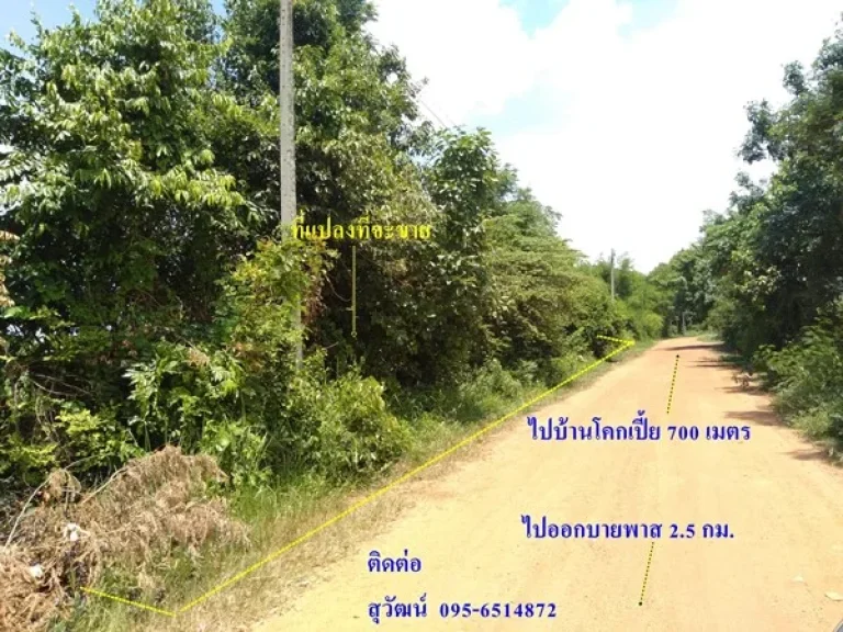 R070 - 0019 - ขายที่ดินเปล่า 2 ไร่ ตบ้านค้อ อ เมืองขอนแก่น จ ขอนแก่น