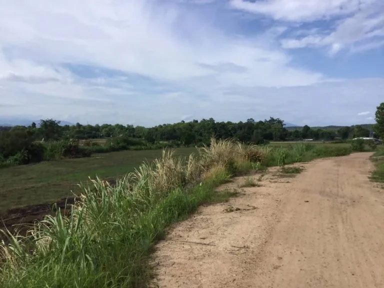 ขายที่ดินสะลวงล้อมรอบวิวภูเขา แม่ริม เชียงใหม่