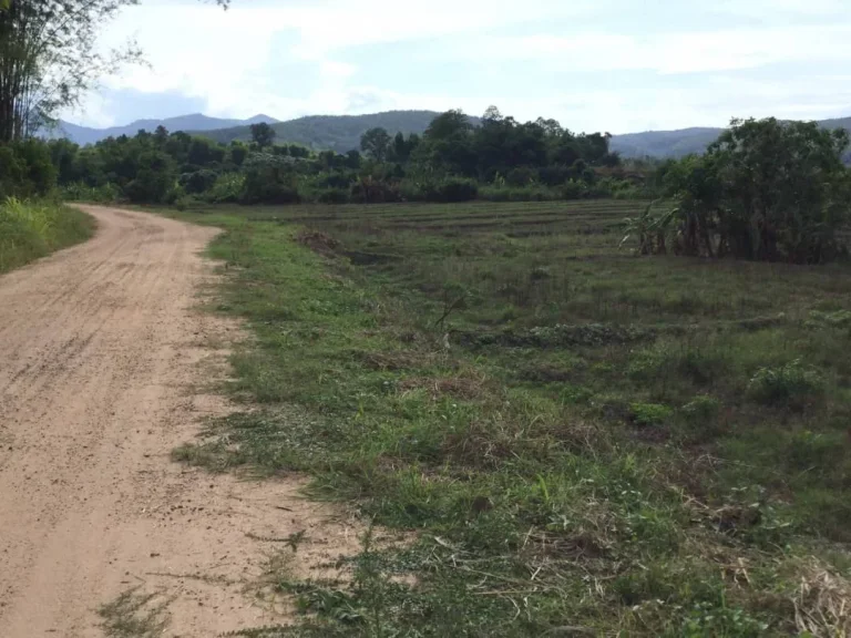 ขายที่ดินสะลวงล้อมรอบวิวภูเขา แม่ริม เชียงใหม่