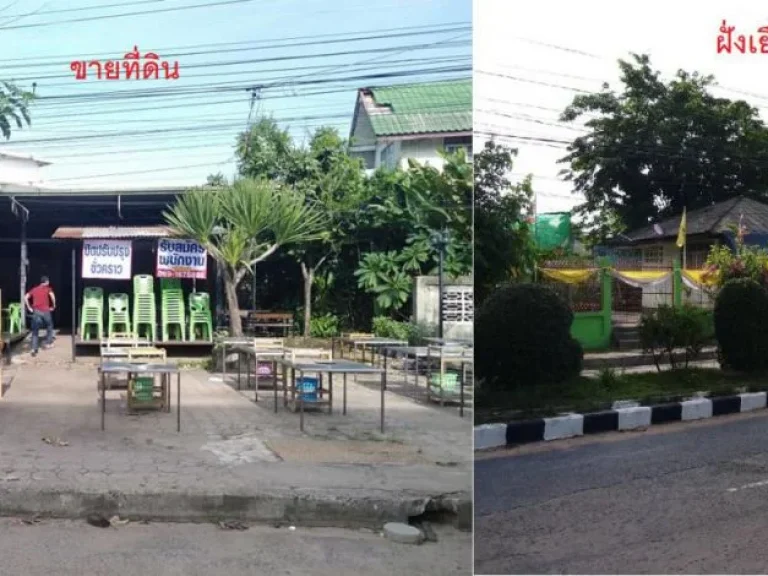 ขายที่ดิน ในตัวเมือง อพิบูลมังสาหาร