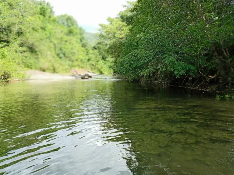 ขายที่ดินโฉนดสวยติดคลองวิวน้ำตกหงาว