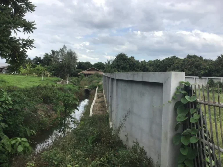 ขายที่ดินบ้านกู่แดง สารภีเชียงใหม่ ล้อมรั้วเรียบร้อย