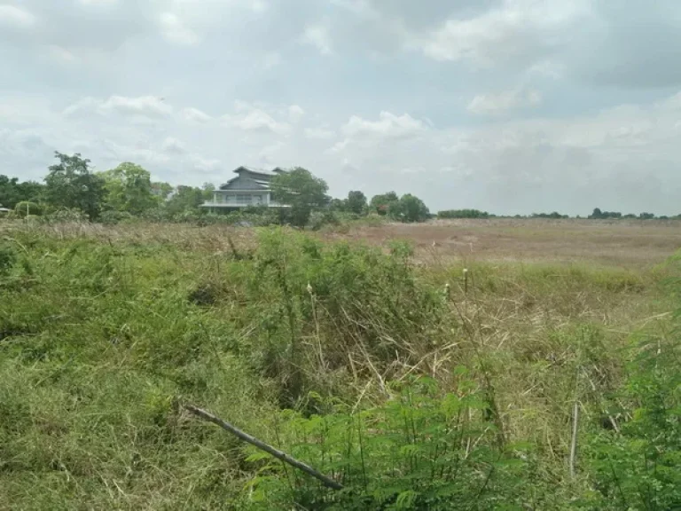 ขาย ที่ดิน ใกล้ รรเตรียมอุดมฯ สุวินทวงศ์ เมือง ฉะเชิงเทรา