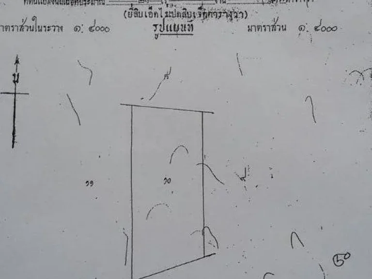 ขายที่ดิน ตเขาทราย อทับคล้อ จพิจิตร 50 ไร่