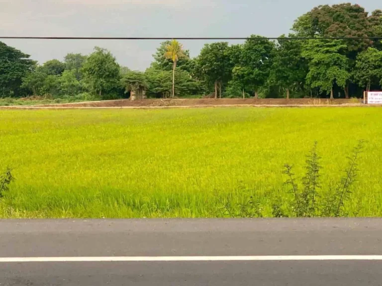 ขายที่ดินสวย ติดแม่น้ำท่าจีน พร้อมบ้านพัก อำเภอบางปลาม้า สุพรรณบุรี