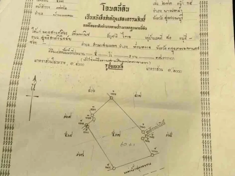 ขายที่ดินสวย ติดแม่น้ำท่าจีน พร้อมบ้านพัก อำเภอบางปลาม้า สุพรรณบุรี