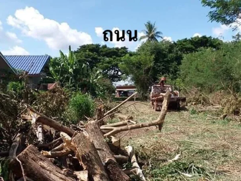 ขายด่วนที่ดินติดบึงหนองเหล็ก ต หนองบัว อ เมือง จ อุดรธานี