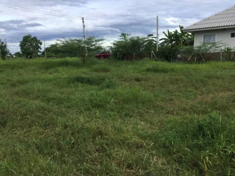 ขายที่ดินวิวดอยสุเทพ สันโป่ง แม่ริม ห่างถนน 300 เมตร เชียงใหม่