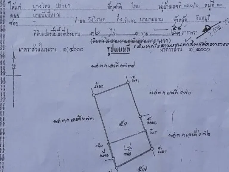 ขายที่ดินสวนทุเรียนและเงาะ อนายายอาม จจันทบุรี