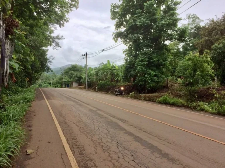 ขายที่ดินไกล้ล่องแพ แม่วาง ห่างบ้านกาด 17 km