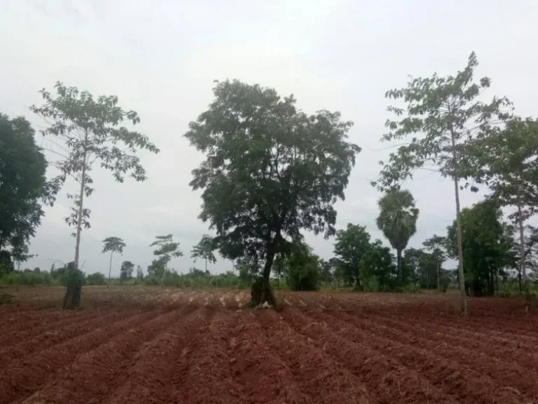 ขาย ที่ดินเงินผ่อน สำหรับนักพัฒนาที่ดิน และนักลงทุน