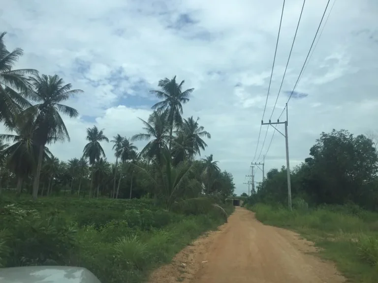 ขายที่ดินห้วยใหญ่ ใกล้มอเตอร์เวย์สาย 7 ตัดใหม่