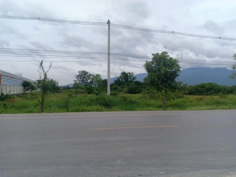 ขายที่ดินติดถนนหลัก ตรงข้ามโครงการจัดสรร สันผีเสื้อ เชียงใหม่