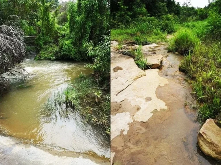 ขายที่ดินพร้อมสวนยาง ติดลำห้วย 25 ไร่ อสิรินธร จอุบล