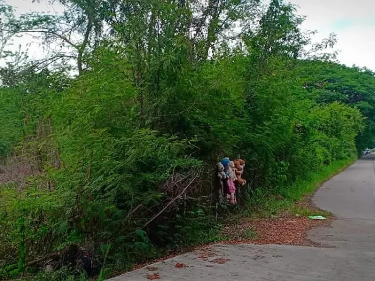 ขายที่ดินห่างสนามบินเชียงใหม่ 15 km ราคาถูก