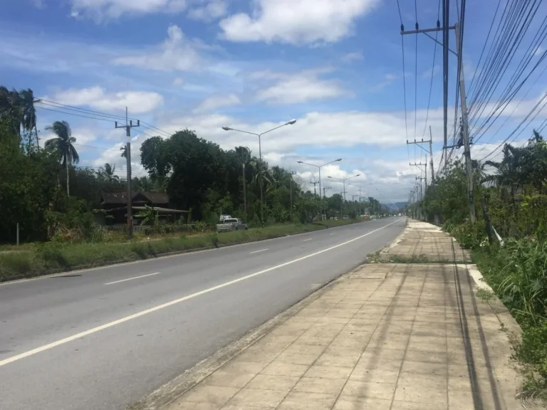 ขาย ที่ดิน ติด ถใหญ่