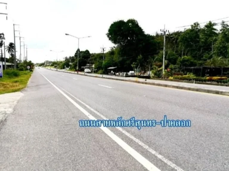 ขายที่ดิน ตศรีสุนทร อถลาง จภูเก็ต