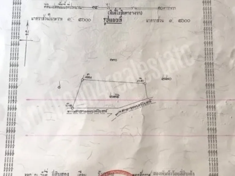 ขายที่ดินเปล่า 14 ไร่ ติดคลองส่งน้ำ ตดอนเจดีย์ จสุพรรณบุรี