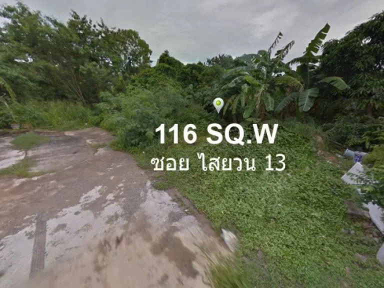 Land For Sale Soi Saiyuan near Rawai Beach size 464m2 116sqw