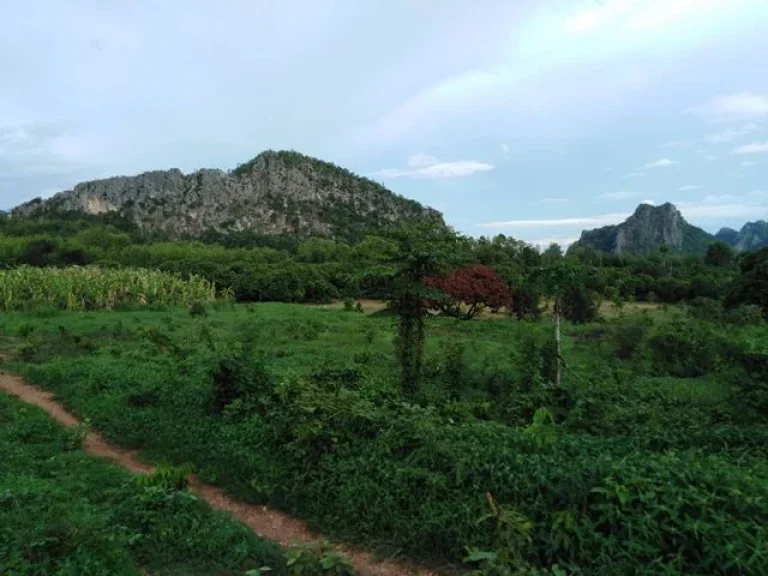 ที่ดินพร้อมบ้านราคาถูก ธรรมชาติสวย ล้อมรอบด้วยขุนเขา จำนวน8ไร่ ทุ่งเสลี่ยม สุโขทัย