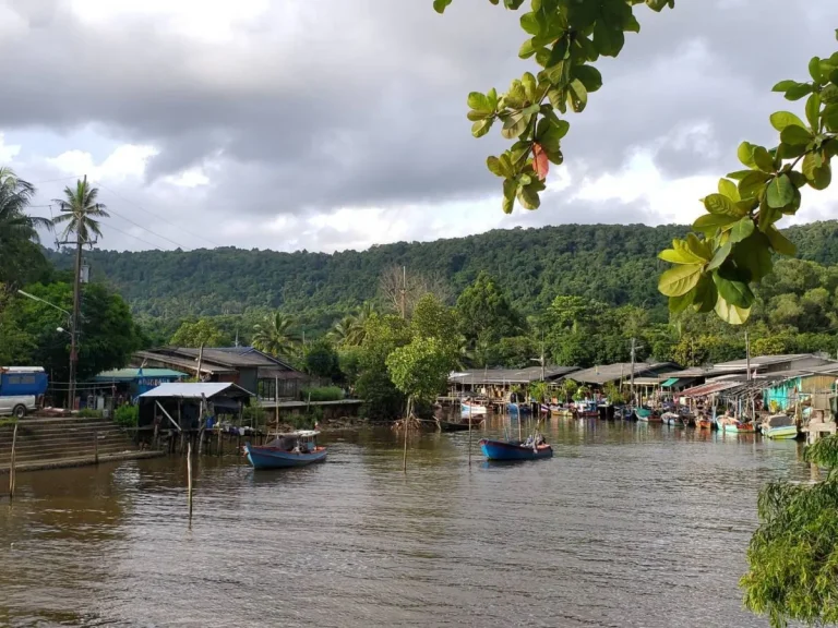 ขายที่ดินด่วน ติดถนนลาดยาง 9 ไร่ 2 งาน 51 ตรว ตไม้รูด อคลองใหญ่ จตราด