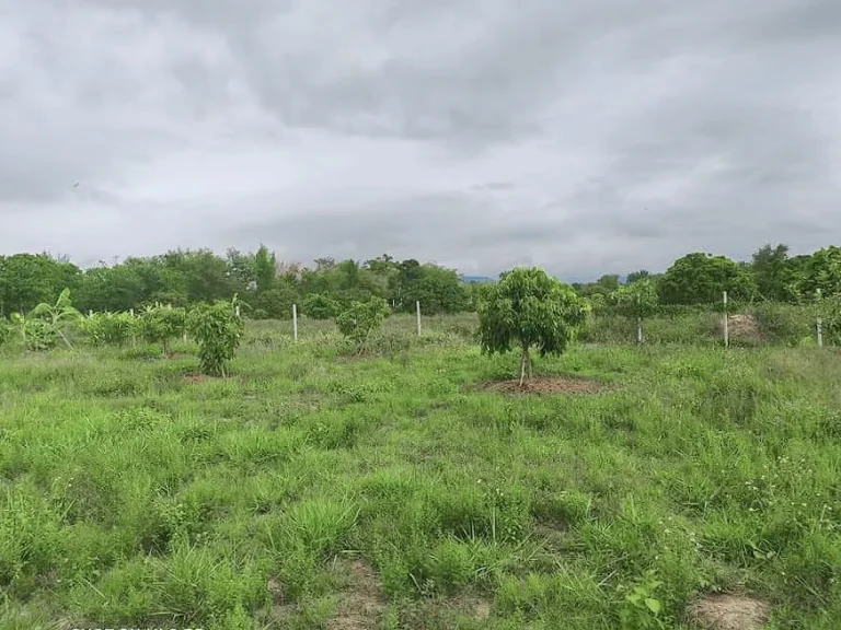 ขายที่ดินน้ำแพร่ วิวดอย ตรงข้าม ปตท น้ำแพร่ ราคาถูก