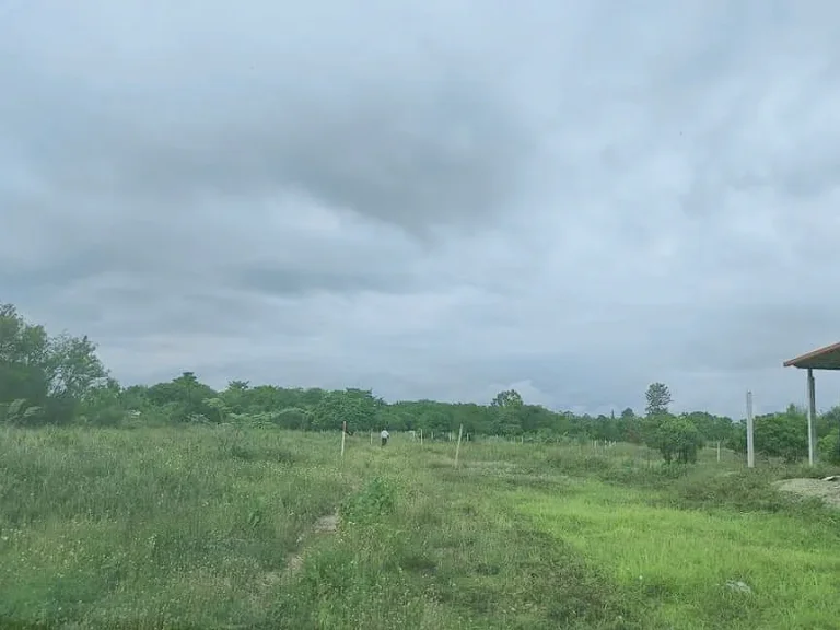 ขายที่ดินน้ำแพร่ วิวดอย ตรงข้าม ปตท น้ำแพร่ ราคาถูก