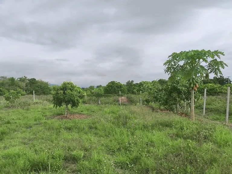 ขายที่ดินน้ำแพร่ วิวดอย ตรงข้าม ปตท น้ำแพร่ ราคาถูก