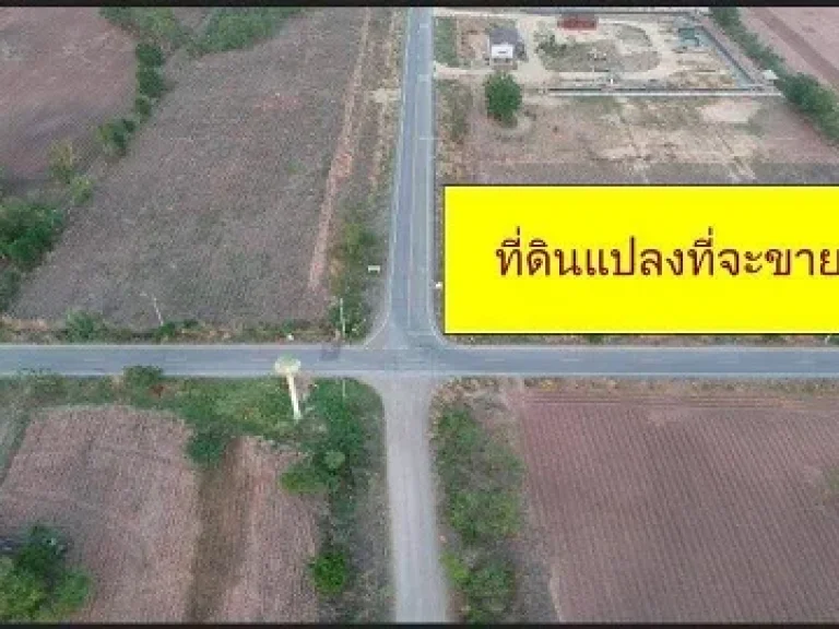 ขายที่ดิน อพัฒนานิคม จ ลพบุรี จำนวน 2 ไร่ 2 งาน 96 ตรว