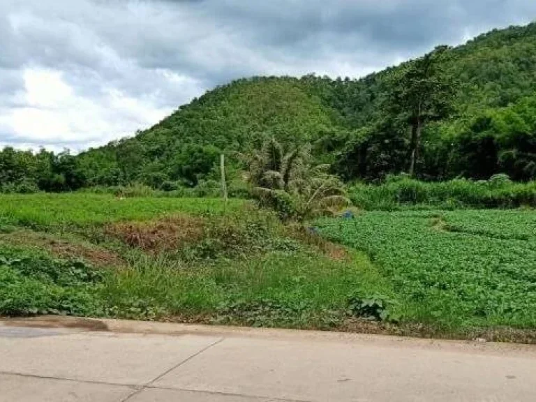 ที่ดินติดลำน้ำสะเมิงใต้ แปลงสวยที่สุดในสะเมิง เหมาะทำรีสอร์ทบ้านพักตากอากาศ ทำเลดีมาก