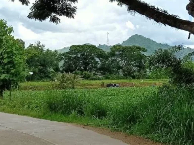 ที่ดินติดลำน้ำสะเมิงใต้ แปลงสวยที่สุดในสะเมิง เหมาะทำรีสอร์ทบ้านพักตากอากาศ ทำเลดีมาก