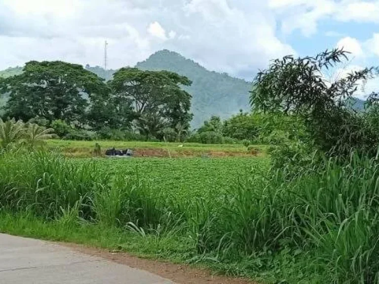 ที่ดินติดลำน้ำสะเมิงใต้ แปลงสวยที่สุดในสะเมิง เหมาะทำรีสอร์ทบ้านพักตากอากาศ ทำเลดีมาก