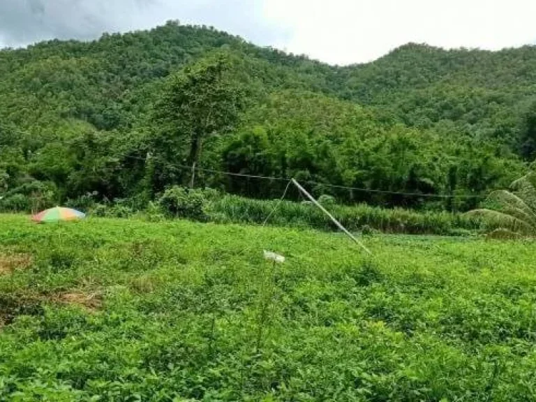 ที่ดินติดลำน้ำสะเมิงใต้ แปลงสวยที่สุดในสะเมิง เหมาะทำรีสอร์ทบ้านพักตากอากาศ ทำเลดีมาก