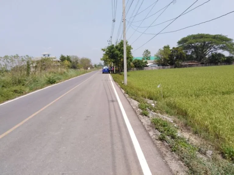 ขายที่ดินห่างโรงเรียนนานาชาติเกรส กุลพันธ์วิลล์ 1 km