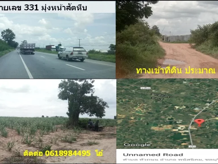 ขาย ที่ดิน ห่างถนน 331 ประมาณ 500 เมตร