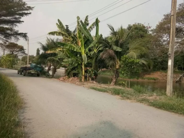 ขายที่ดิน คลองสามวา ซอยวัดศรีสุก ใกล้สำนักจุฬาราชมนตรี