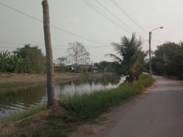 ขายที่ดิน คลองสามวา ซอยวัดศรีสุก ใกล้สำนักจุฬาราชมนตรี